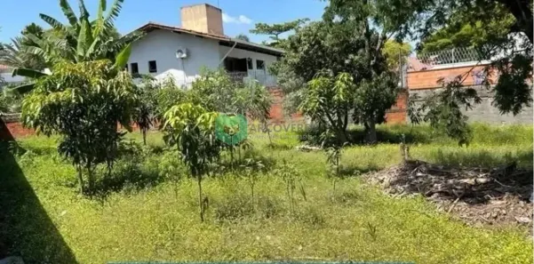 Lote/Terreno à venda, 614m² no Vila Hamburguesa, São Paulo