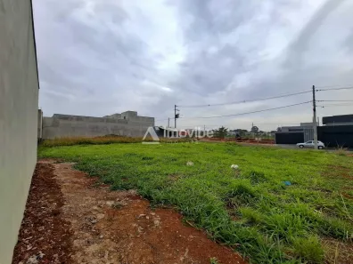 Lote/Terreno à venda, 175m² no Vila Pântano III, Santa Bárbara D'Oeste