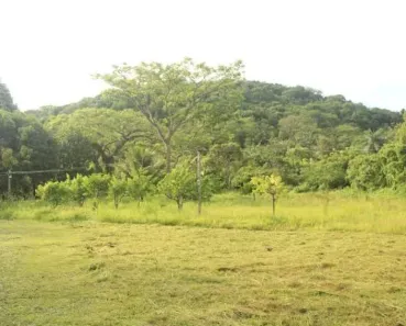 Fazenda/Sítio à venda, 160000m² no Área Rural do Cabo de Santo Agostinho, Cabo de Santo Agostinho