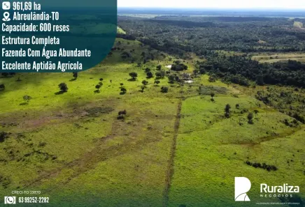 Fazenda/Sítio à venda, 961m² no , Abreulândia