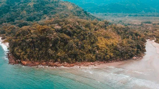 Lote/Terreno à venda, 46021m² no Barra da Lagoa, Ubatuba