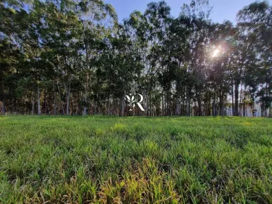 Lote/Terreno à venda, 1066m² no Pedro do Rio, Petrópolis