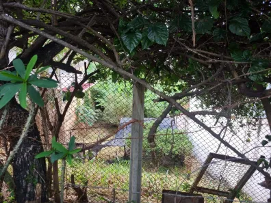 Lote/Terreno à venda, 372m² no Santa Lúcia, Belo Horizonte