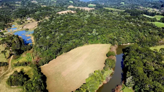 Fazenda/Sítio à venda, 40m² no , Rio Rufino