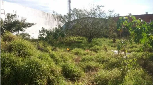 Lote/Terreno com 1 Quarto à venda, 2151m² no Humaitá, Porto Alegre