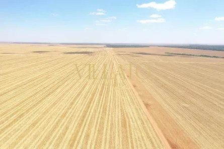 Fazenda/Sítio com 3 Quartos à venda, 3600m² no Centro, Querência