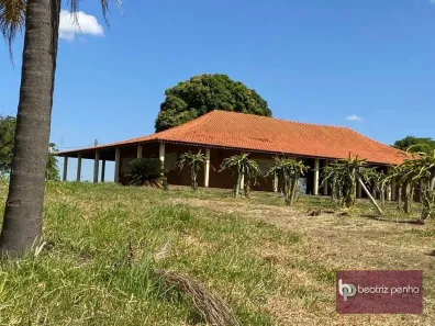 Fazenda/Sítio com 4 Quartos à venda, 600m² no Zona Rural, Auriflama