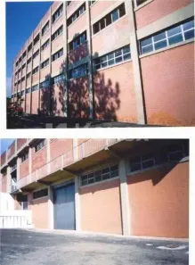 Galpão/Depósito/Armazém para alugar, 7013m² no Jardim Cristiano, Itaquaquecetuba