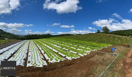 Fazenda/Sítio à venda, 199m² no Capela do Rosário, São José do Hortêncio
