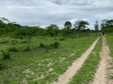 Fazenda/Sítio com 4 Quartos à venda, 9960202m² no Boa Vista do Tupim, Boa Vista do Tupim