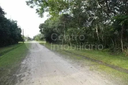 Lote/Terreno à venda, 350m² no Jardim Sao Luis, Peruíbe
