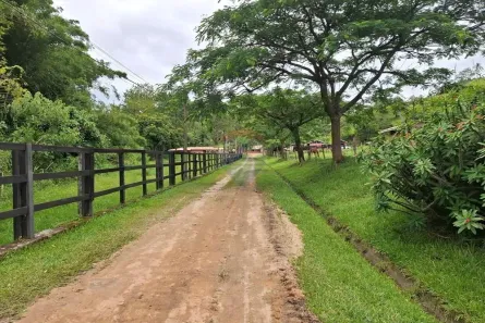 Fazenda/Sítio à venda, 387200m² no Centro (Arcadas), Amparo