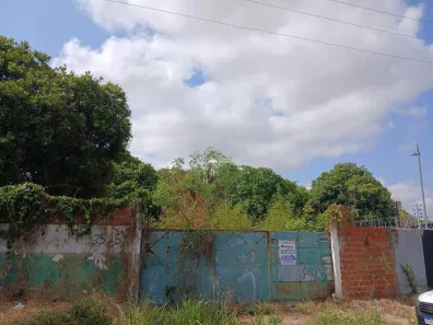 para alugar, 800m² no Piçarreira, Teresina