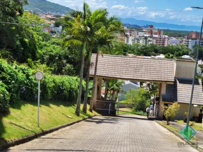 Lote/Terreno à venda, 794m² no Córrego Grande, Florianópolis