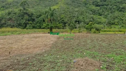 Fazenda/Sítio com 2 Quartos à venda, 109500m² no Ribeirão Grande, Pindamonhangaba