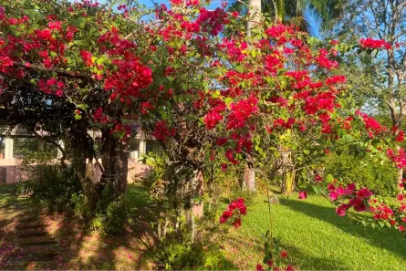 Fazenda/Sítio com 3 Quartos à venda, 332m² no Loteamento Morro de Ouro, Mogi Guaçu