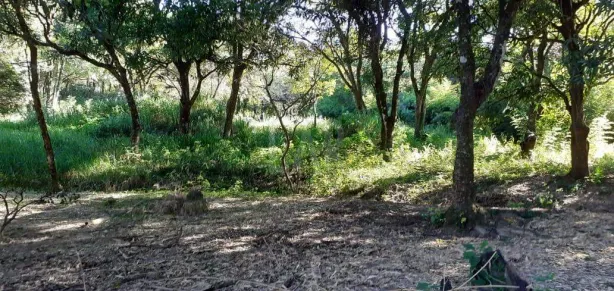 Lote/Terreno à venda, 68320m² no Nova Pampulha, Vespasiano