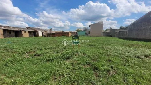 Lote/Terreno à venda, 300m² no Vicentina, São Leopoldo
