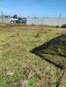 Lote/Terreno para alugar, 300m² no Loteamento Residencial Jardim dos Pinheiros, Americana