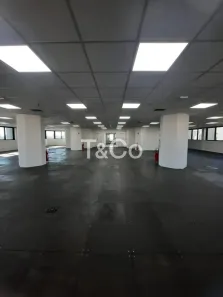 Sala Comercial com 1 Quarto para alugar, 481m² no Nova Campinas, Campinas