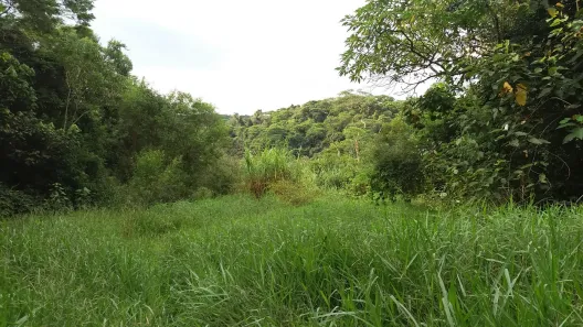 Lote/Terreno à venda, 6769m² no Parque dos Caetes, Embu das Artes