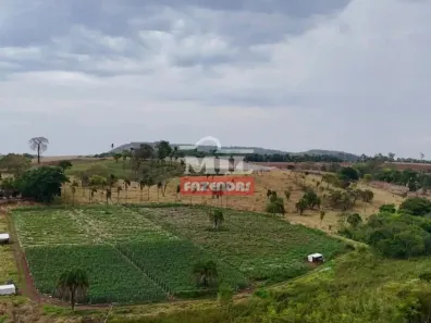 Fazenda/Sítio à venda, 500m² no , Goianápolis