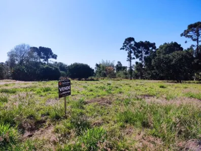 Fazenda/Sítio à venda, 3001m² no Morumbi, Cascavel