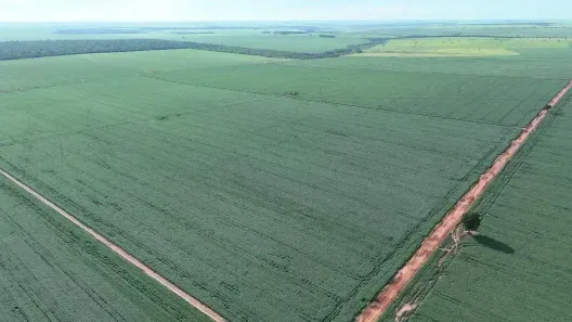 Fazenda/Sítio à venda, 20207000m² no Jardim Vale Encantado, Naviraí