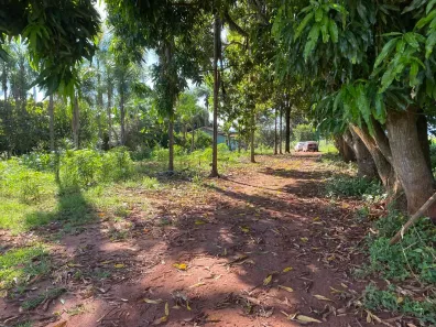 Fazenda/Sítio com 3 Quartos à venda, 120m² no , Edealina