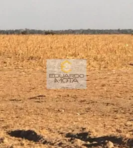 Fazenda/Sítio à venda, 39000m² no , Vila Rica