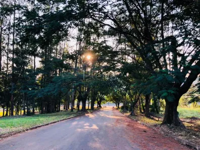 Lote/Terreno à venda, 798m² no Swiss Park, Campinas