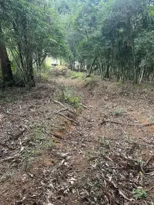 Fazenda/Sítio à venda, 36000m² no Campo Alto, Tijucas do Sul