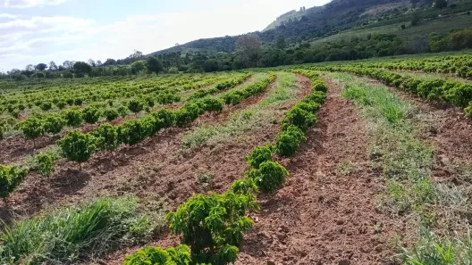 Fazenda/Sítio com 2 Quartos à venda, 48400m² no , Monte Santo de Minas