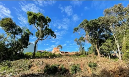 Lote/Terreno à venda, 452m² no Santo André, São Leopoldo