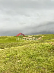 Fazenda/Sítio à venda, 300000m² no Centro, São Francisco de Paula