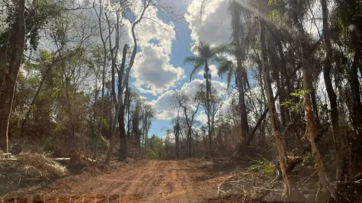 Lote/Terreno à venda, 600m² no Terra Preta (Terra Preta), Mairiporã