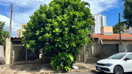 Casa com 3 Quartos à venda, 155m² no Vila Fujita, Londrina
