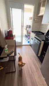 Apartamento com 2 Quartos à venda, 31m² no Vila Nova das Belezas, São Paulo