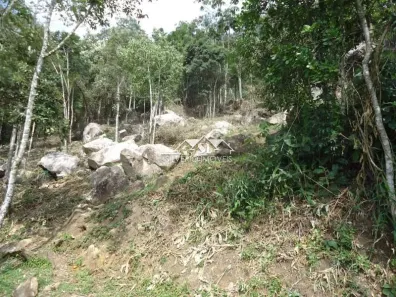 Lote/Terreno à venda, 4000m² no Samambaia, Petrópolis