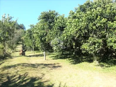 Lote/Terreno à venda, 13935m² no Belém Velho, Porto Alegre