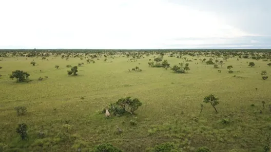 Fazenda/Sítio com 4 Quartos à venda, 838000000m² no , São Félix do Araguaia
