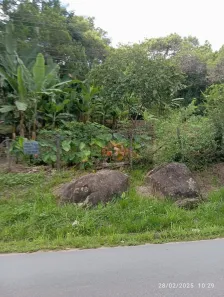 Lote/Terreno à venda, 800m² no Ratones, Florianópolis