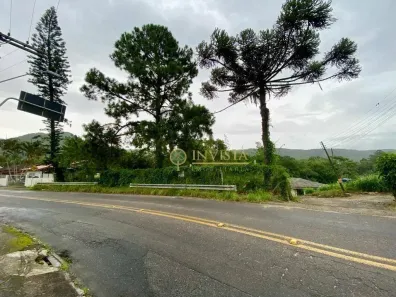 Lote/Terreno à venda, 1531m² no Ratones, Florianópolis