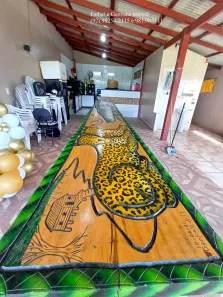 Casa com 4 Quartos à venda, 420m² no , Presidente Figueiredo
