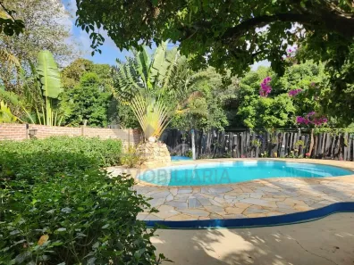 Fazenda/Sítio com 3 Quartos à venda, 141m² no Pinhalzinho, Holambra