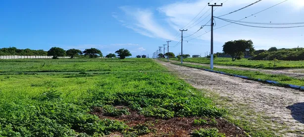 Lote/Terreno à venda, 250m² no , Cascavel