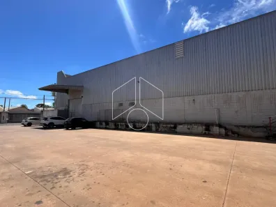 Galpão/Depósito/Armazém para alugar, 2000m² no Centro (Lácio), Marília