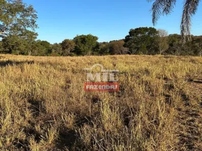 Fazenda/Sítio à venda, 1m² no , Professor Jamil