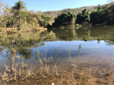 Fazenda/Sítio à venda, 1m² no Setor Central, Aragoiânia