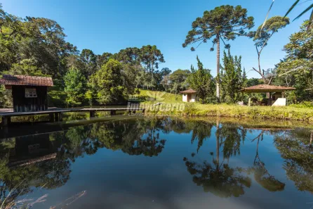 Fazenda/Sítio com 5 Quartos à venda, 124314m² no Colônia Murici, São José dos Pinhais